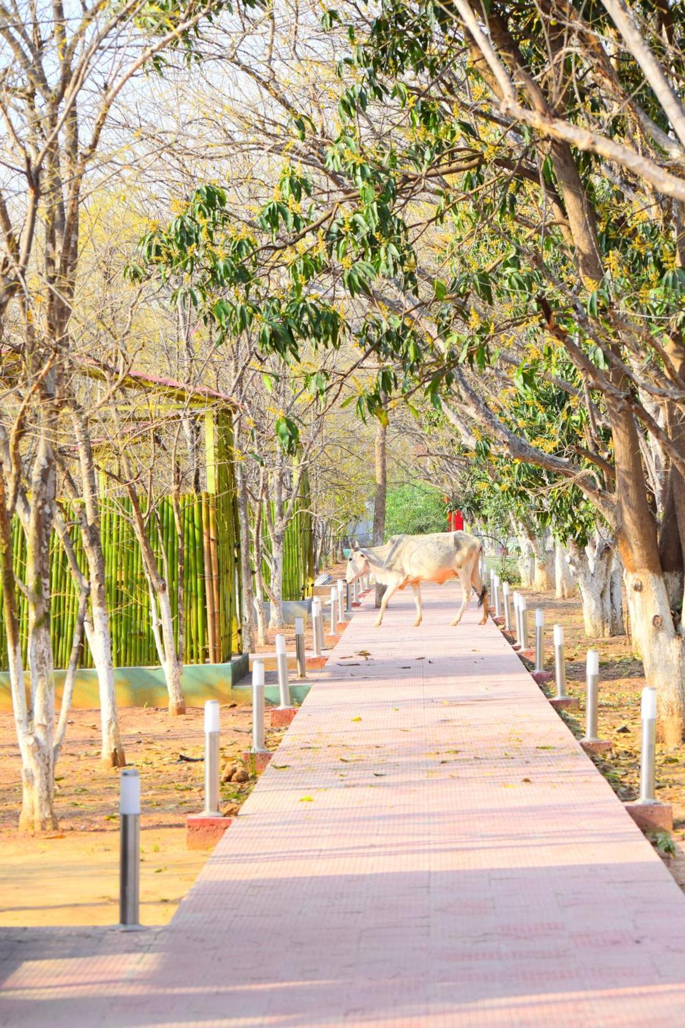 Matoshree Green Stay Sariska Tehla Bagian luar foto